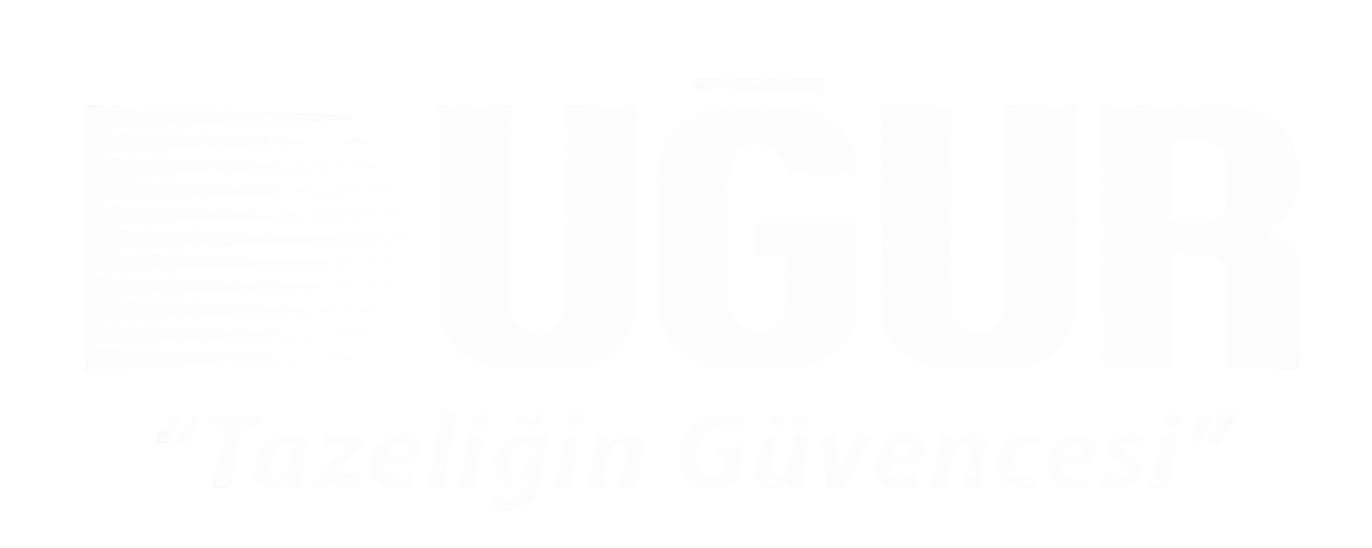 Uğur Derin Dondurucu
