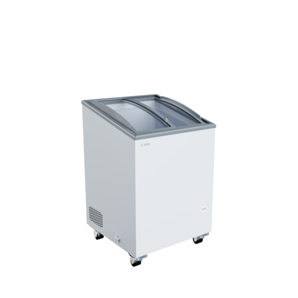 UDD 100 SCEB